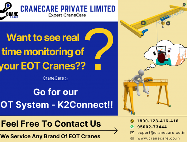 Want to see real time monitoring of your EOT cranes??
